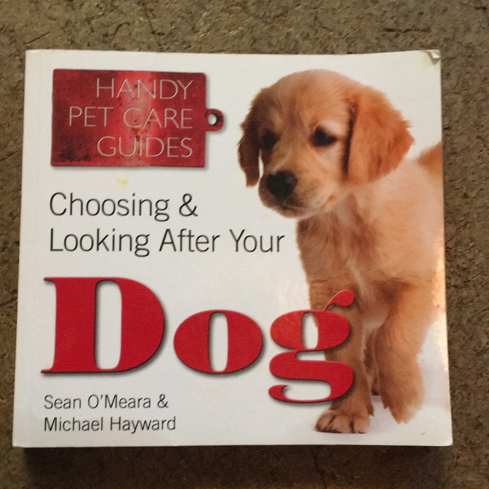 Choosing & Looking After Your Dog